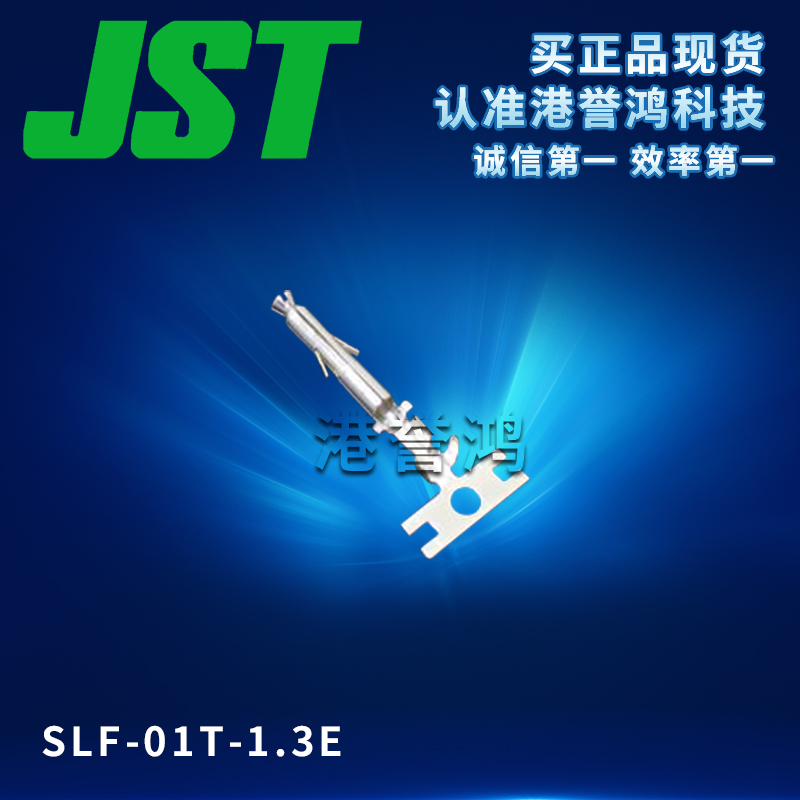 SLF-01T-1.3E.jpg