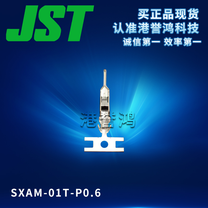 SXAM-01T-P0.6.jpg