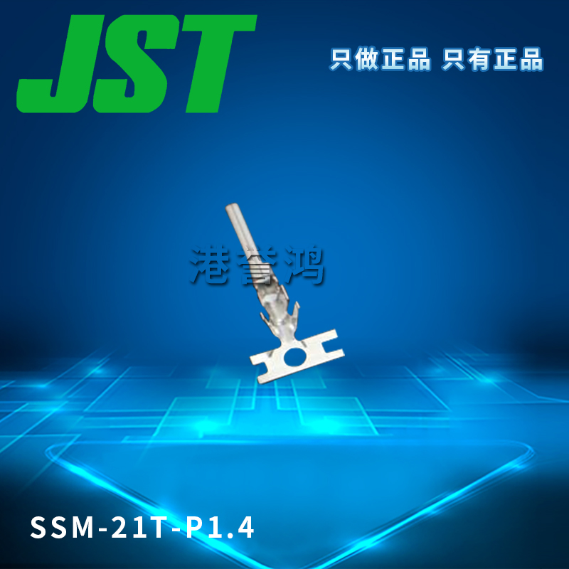 SSM-21T-P1.4（2）.jpg