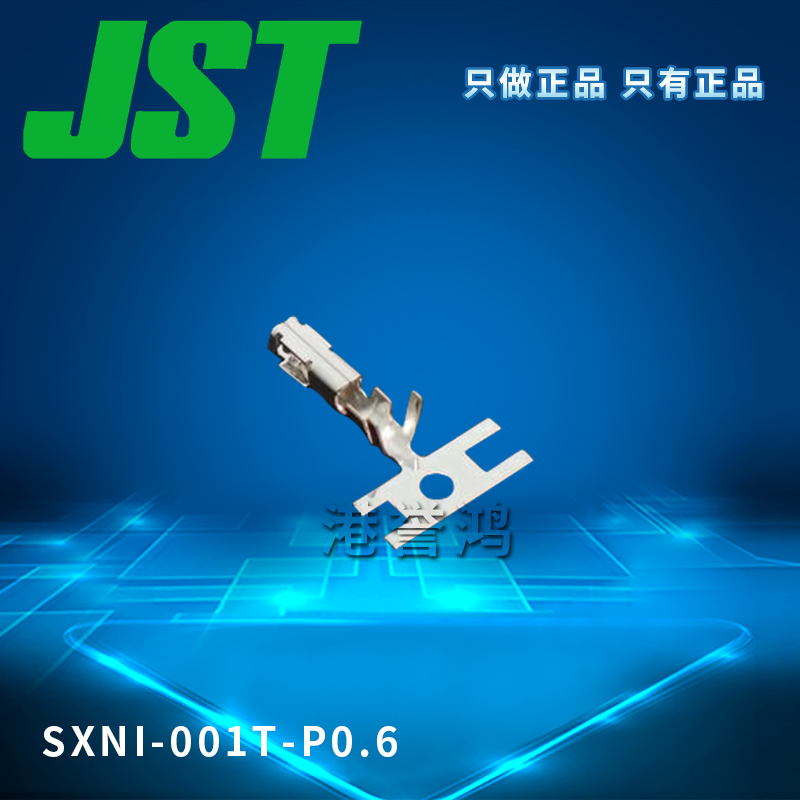 SXNI-001T-P0.6(2).jpg
