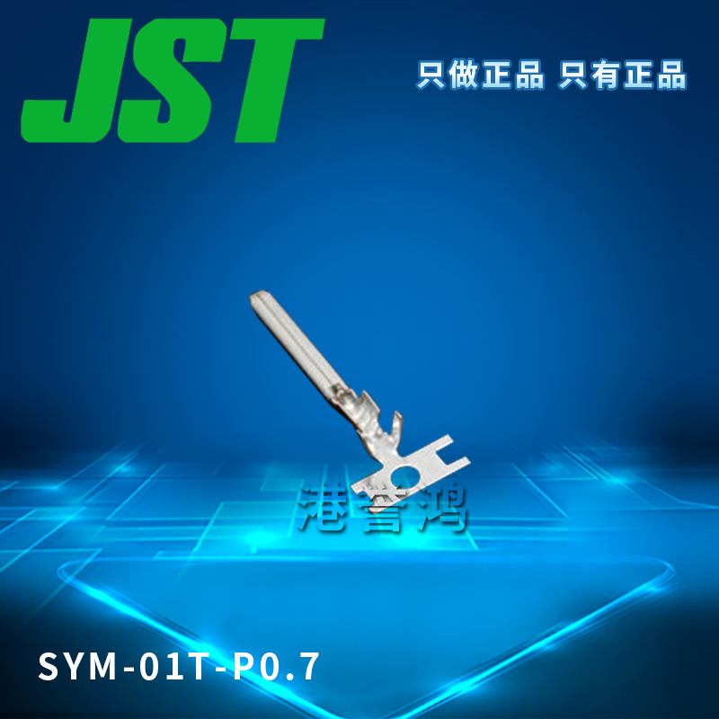 SYM-01T-P0.7(2).jpg