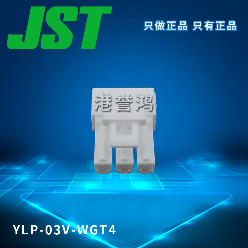 YLP-03V-WGT4（2）.jpg