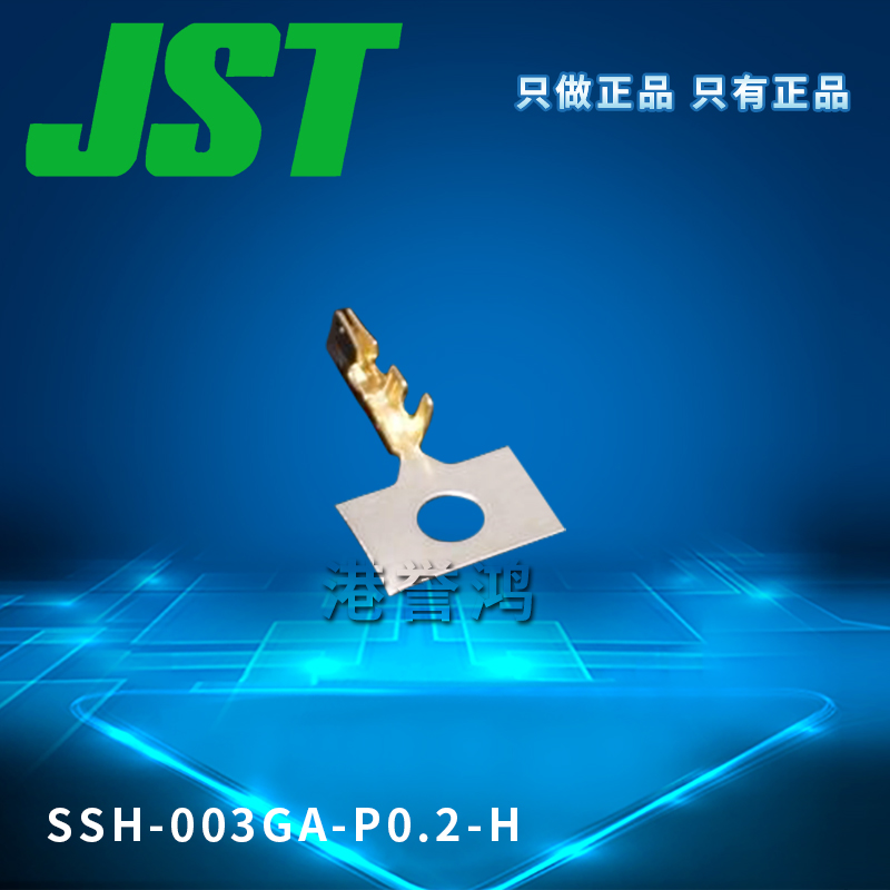 SSH-003GA-P0.2-H（2）.jpg