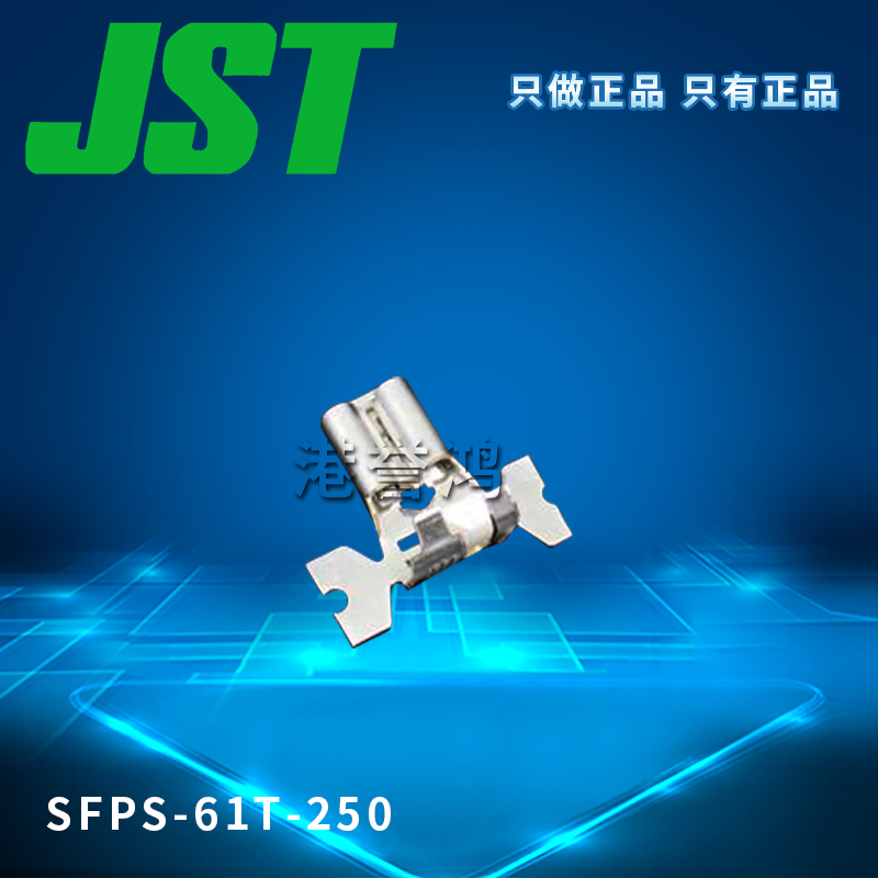 SFPS-61T-250(2).jpg
