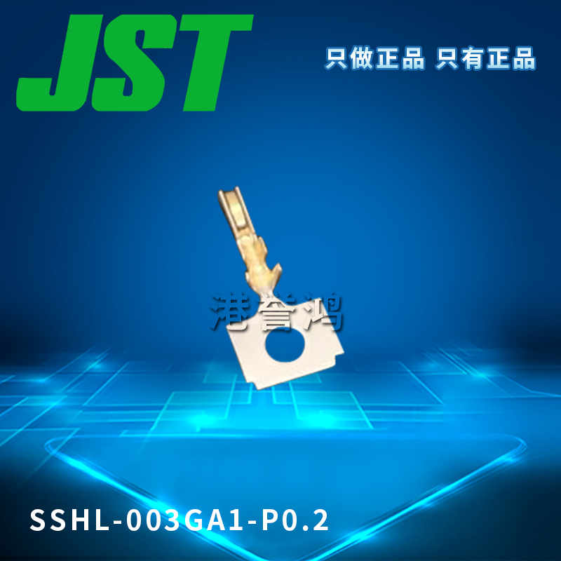 SSHL-003GA1-P0.2(2).jpg