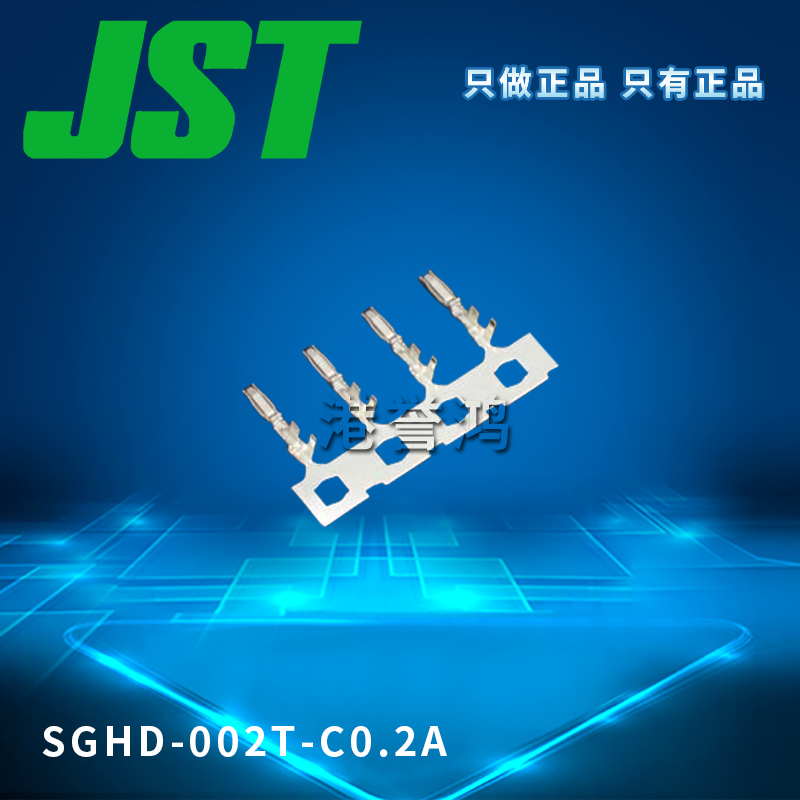 SGHD-002T-C0.2A(2).jpg