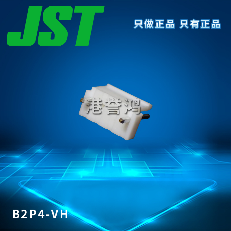 B2P4-VH（2).jpg